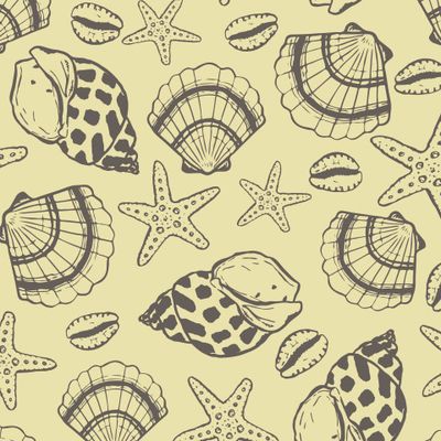 Морские ракушки и звезды