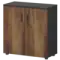 Шкаф СМШ-28Д Тип1  792x380x836 Смарт