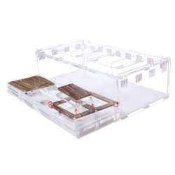 Муравьиная ферма Direct XL под дерево