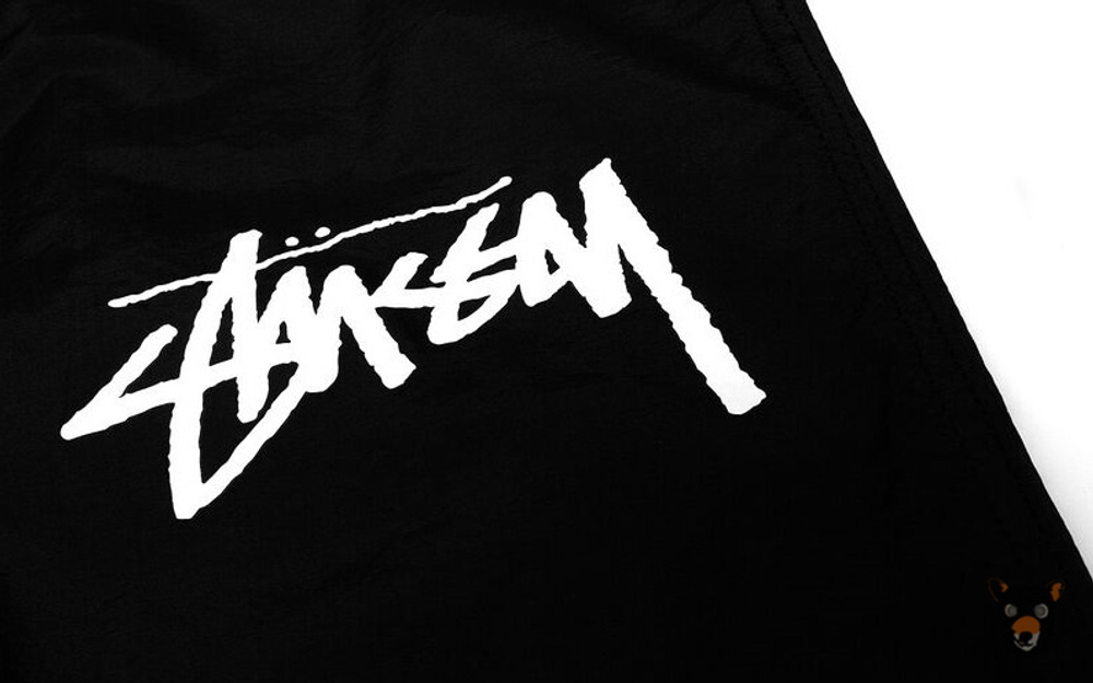 Штаны Stussy x Nike