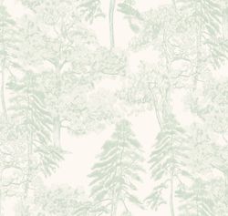 Ambient vol4 Лесной этюд