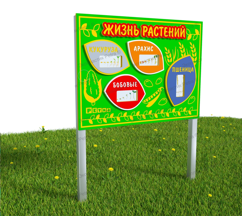 Модуль уличный Жизнь растений