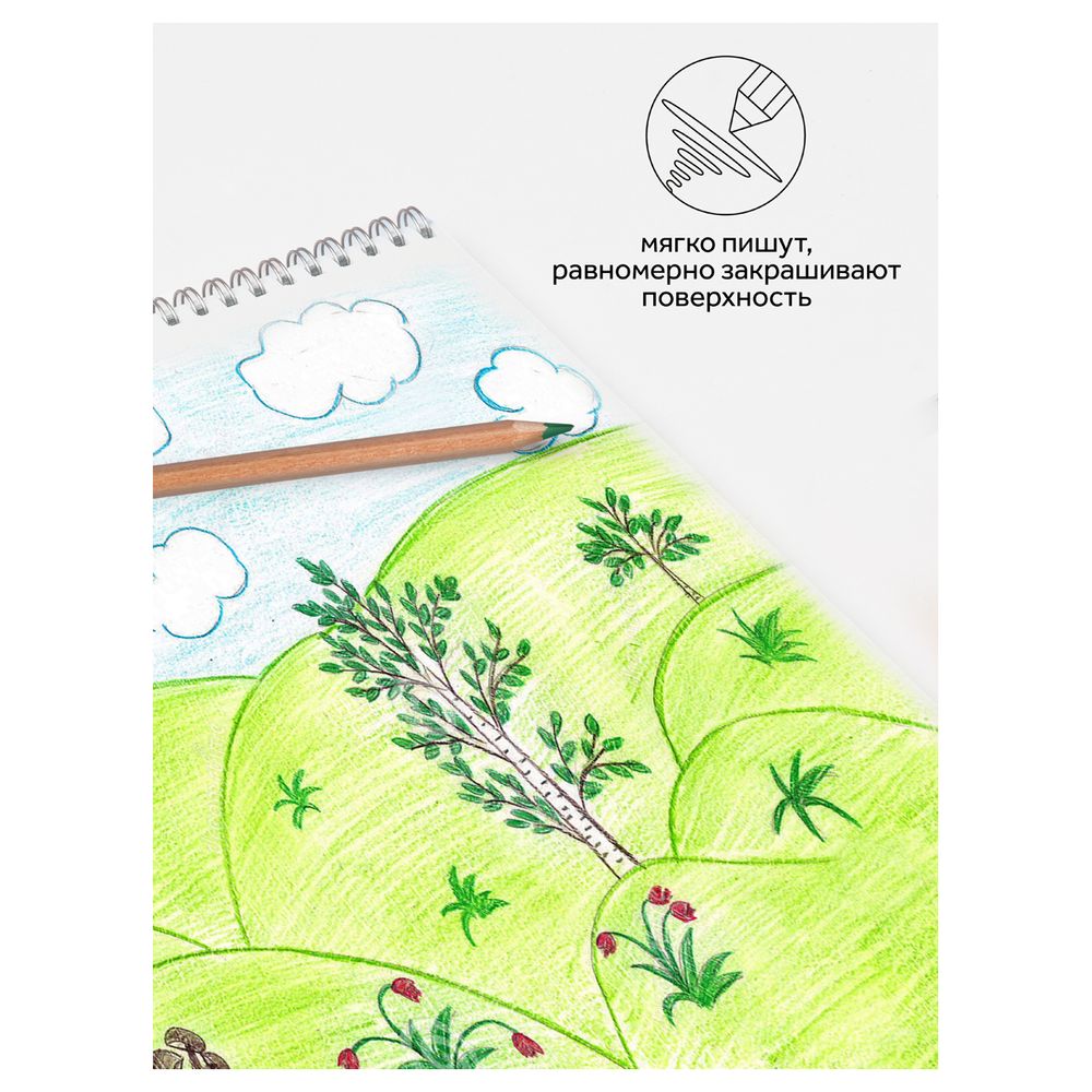 Карандаши цветные Гамма "Мультики", 36цв., супермягкие, увелич. диаметр грифеля 4,0мм, заточен., картон. упак., европодвес