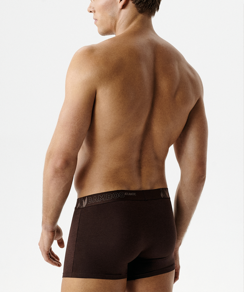 Мужские трусы шорты Atlantic, набор из 3 шт., бамбук, бежевые + коричневые + сине-зелёные, 3MH-231