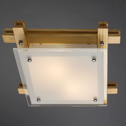 Накладной светильник Arte Lamp A6460PL-2BR