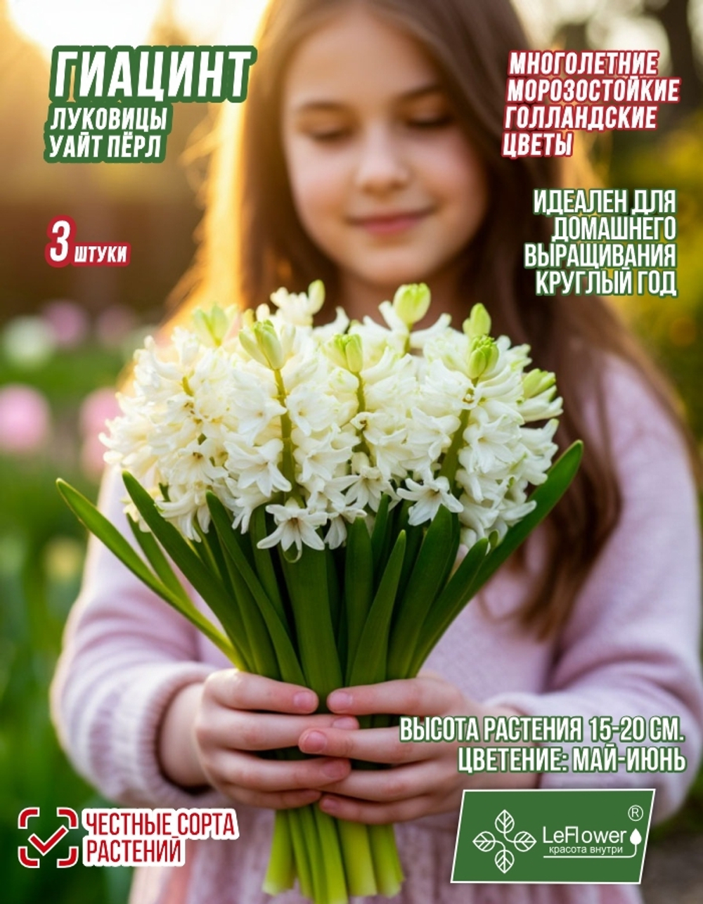 Гиацинт Луковицы цветов Уайт Перл, 3шт