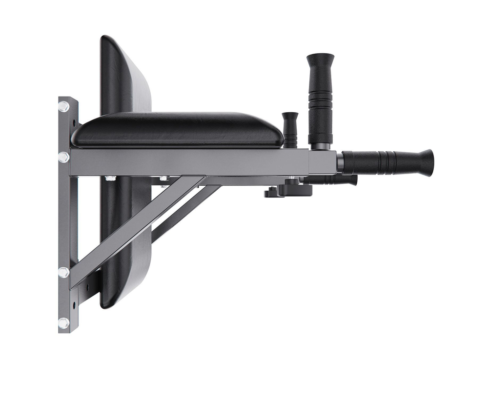 Брусья настенные DFC Homegym G294