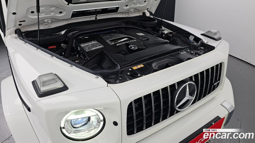 Mercedes-Benz G-Class W463b AMG G63 (12.2021)