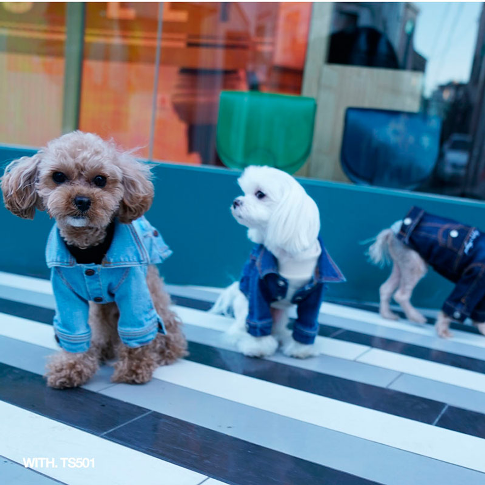 406 PA-OW Джинсовка с рукавами / куртка джинсовая