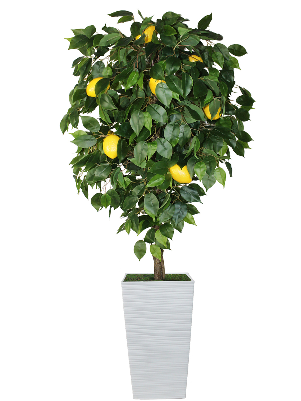 Искусственное дерево Лимон 150 см в высоком белом кашпо 46 см