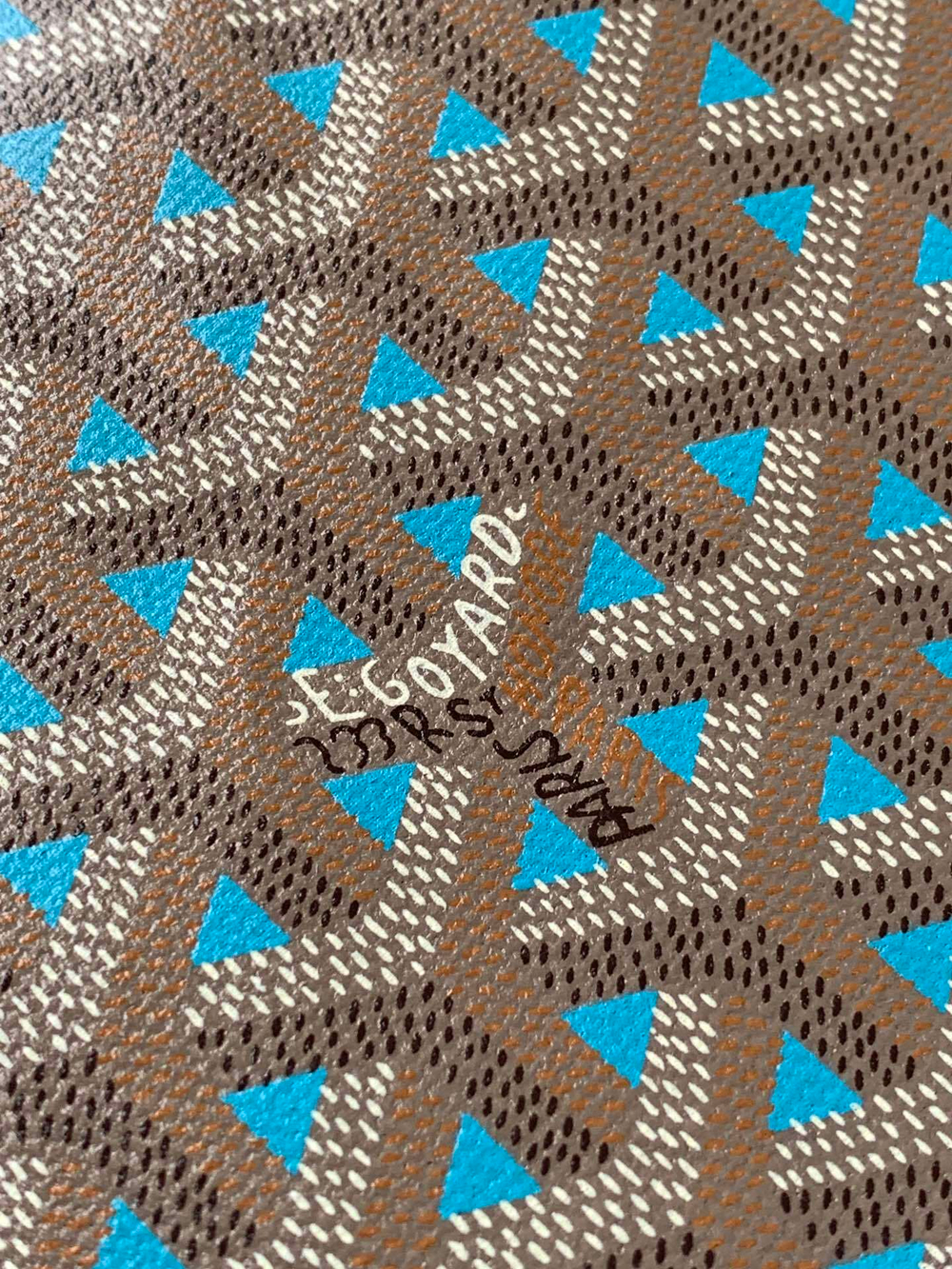 Goyard Poitiers Claire-Voie Bag