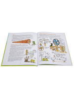 Поделки Финдуса