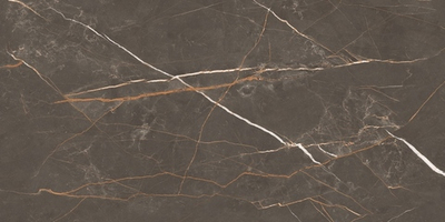 Керамогранит Letina Brown Tm 80x160