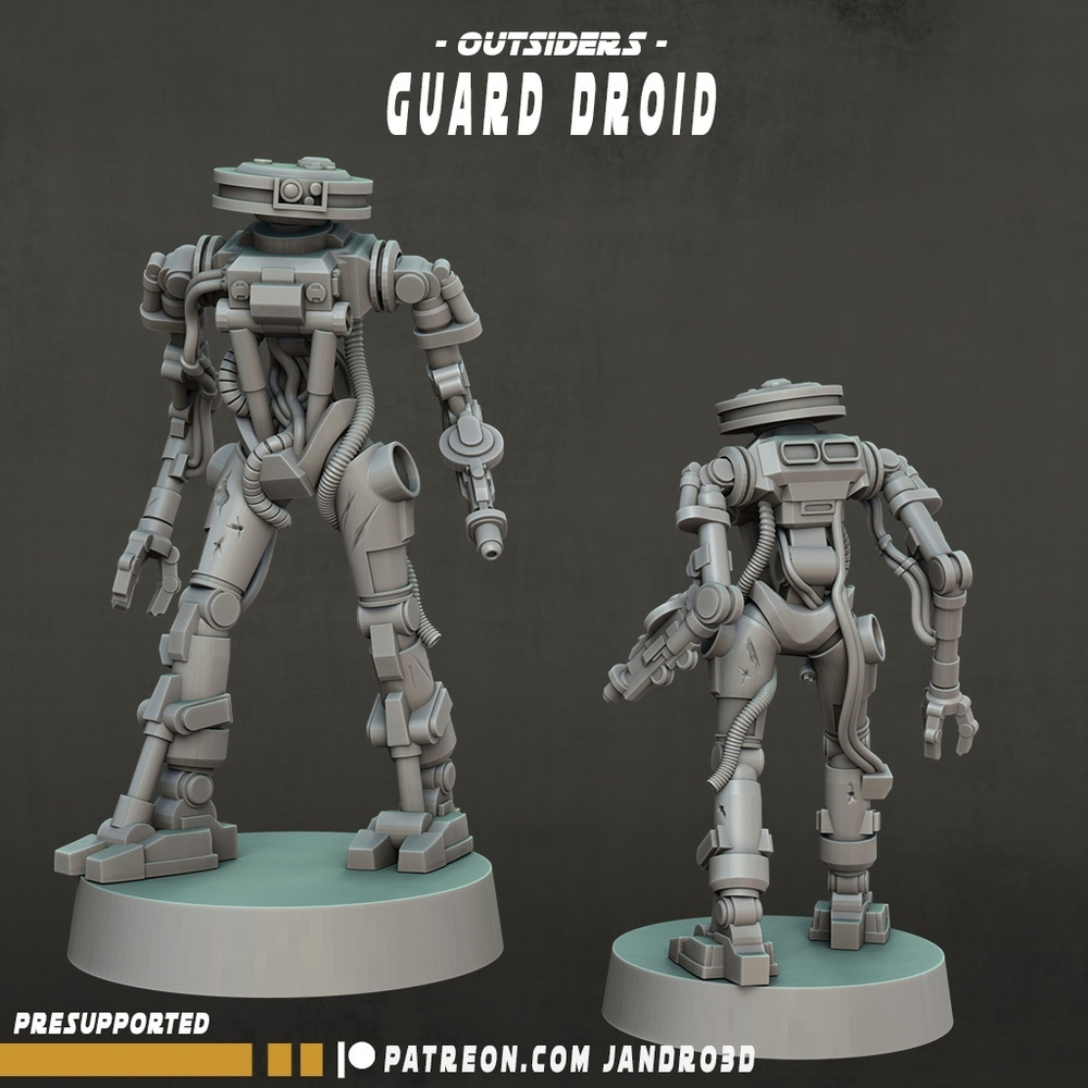 Star War Bodyguard Guard
