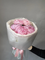 Пионы Сара 5шт