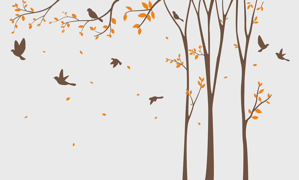 Коллекция BABY WORLD