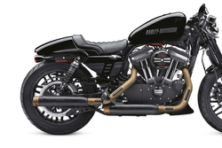 65400404 ТЕПЛОЗАЩИТНЫЙ ЭКРАН ДЛЯ ВЫПУСКНОЙ СИСТЕМЫ, 2 ШТ., СТАЛЬ