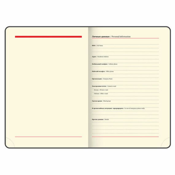 Gündəlik/Ajanda/Ежедневник/Diary Ежедневник недатированный А5 VISTA Edvard Munch