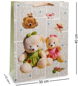 Z-21-3 Пакет большой