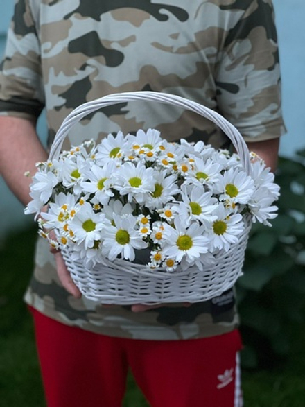 Ромашки в мини корзине «Летнее свидание»