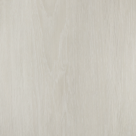 Дуб сицилийский