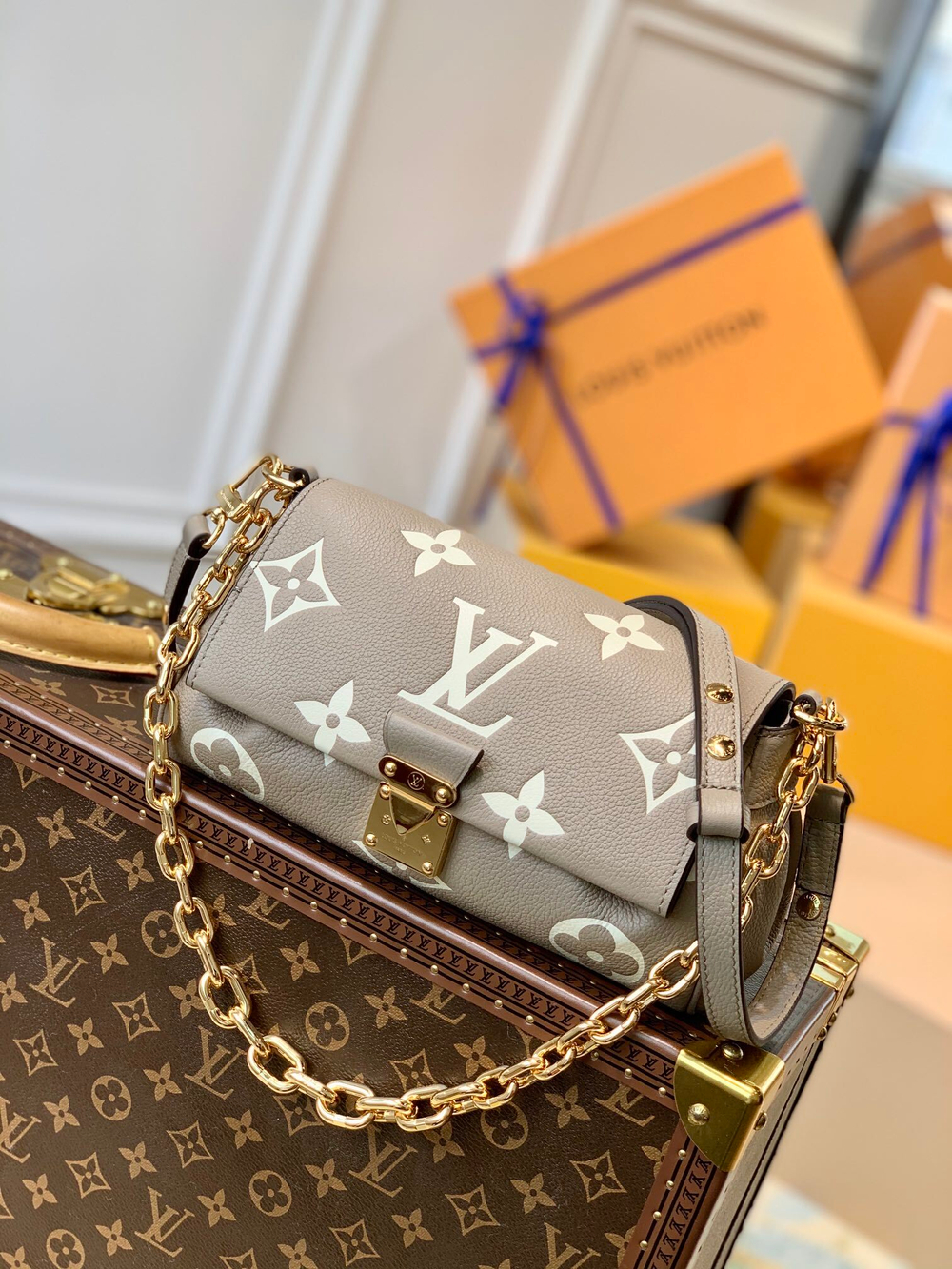 Louis Vuitton Favorite