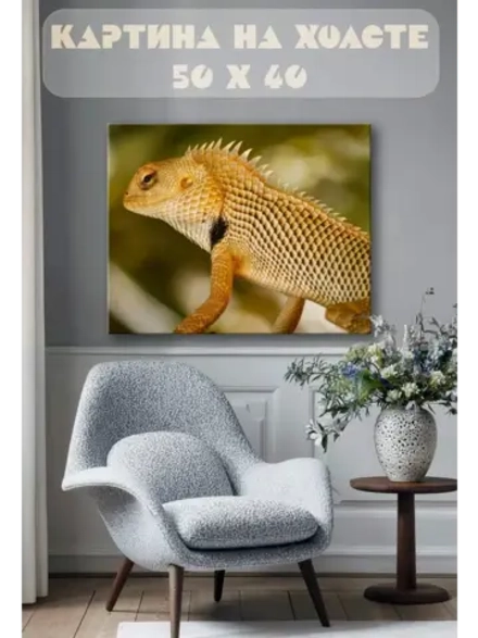 Картина на стену 40 X 50 Бородатая ящерица