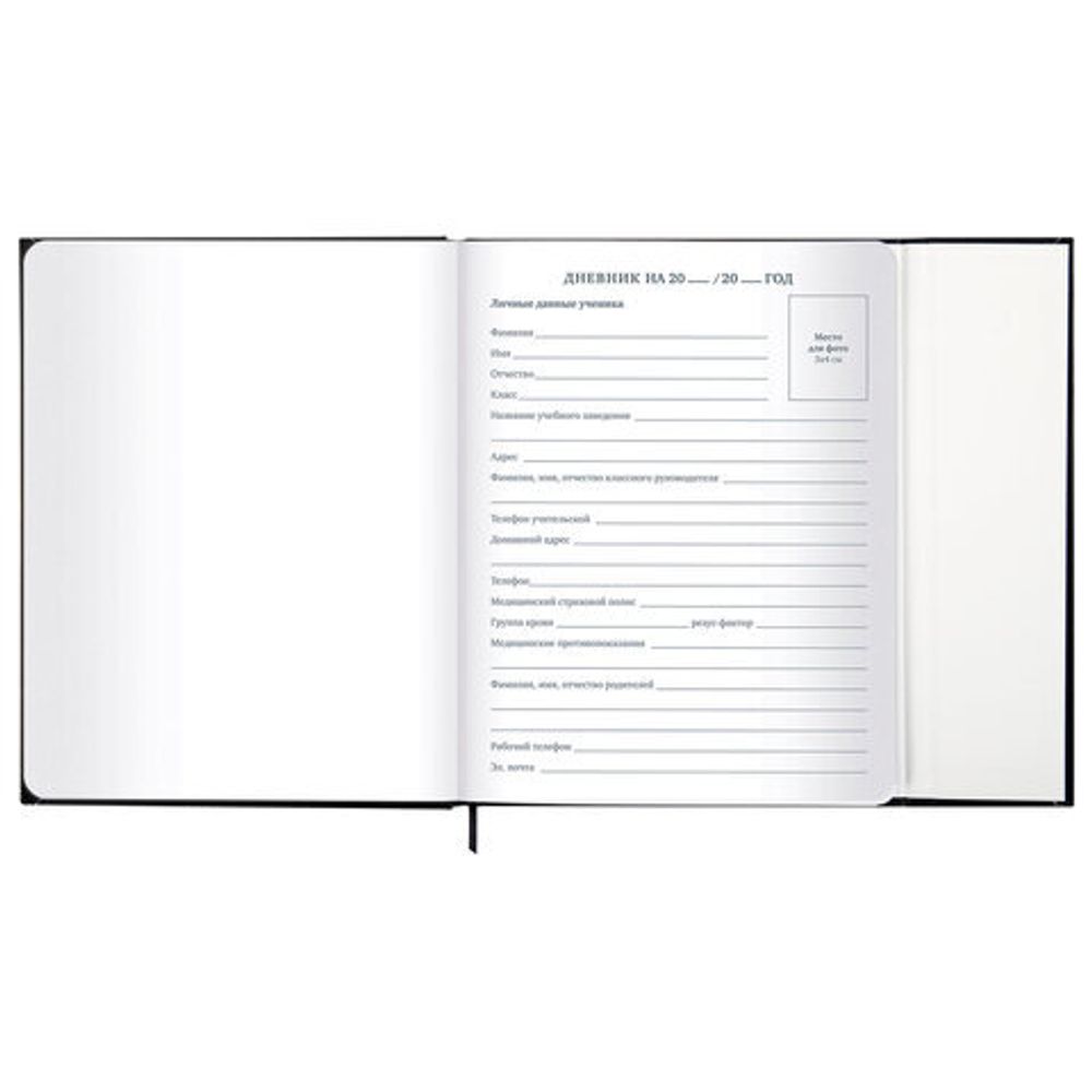 Дневник 1-11 класс 48 л., твердый, BRAUBERG, матовая ламинация, магнитный клапан, закладка-ляссе, с подсказом, "Дракон", 107245