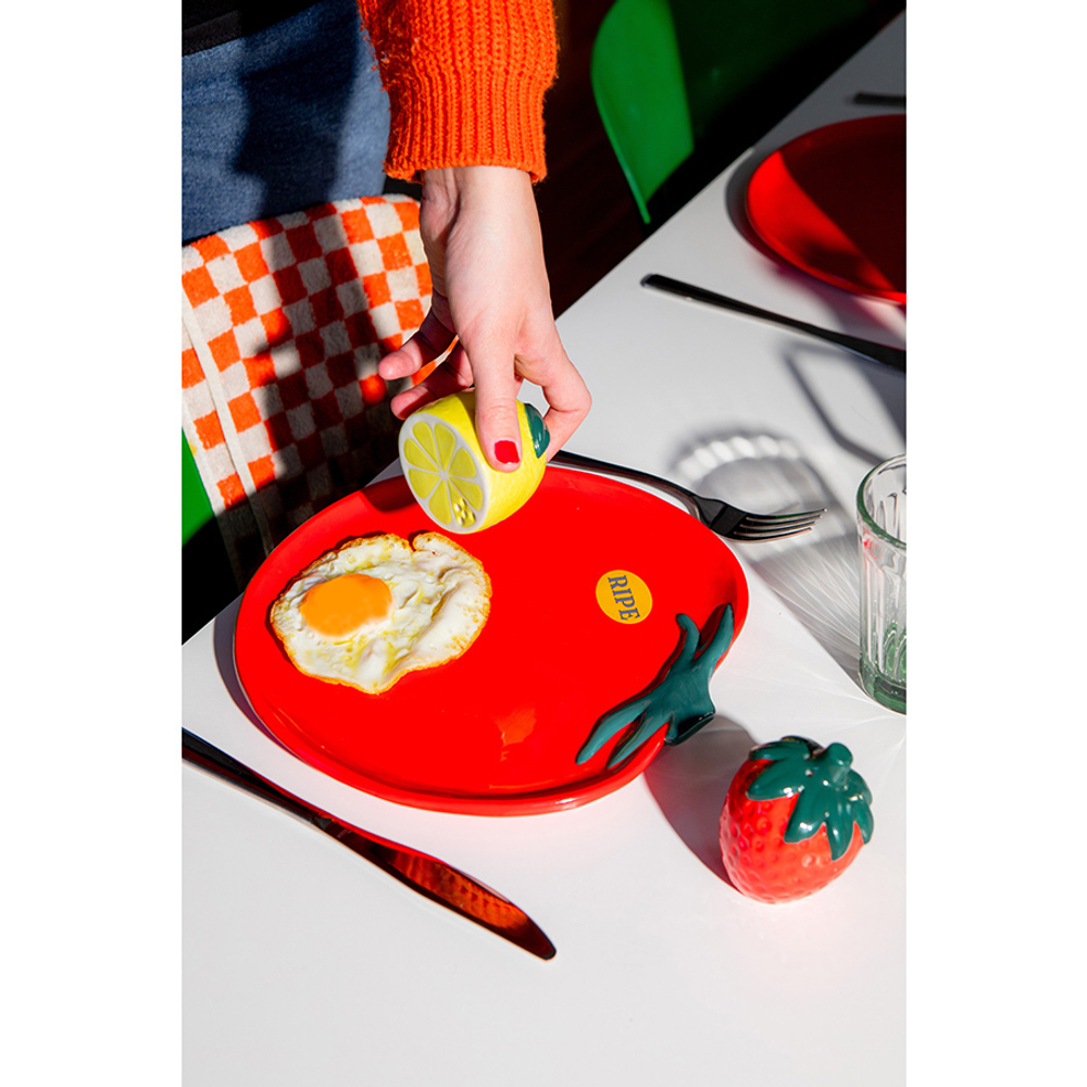 Тарелка сервировочная tomato, D24 см