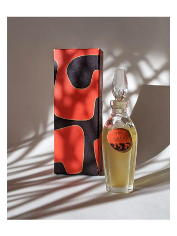 Red Carnation – Красная гвоздика Coral – Коралл