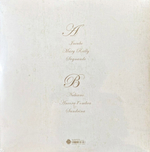 Raccomandata Con Ricevuta Di Ritorno / In Fuga (LP)