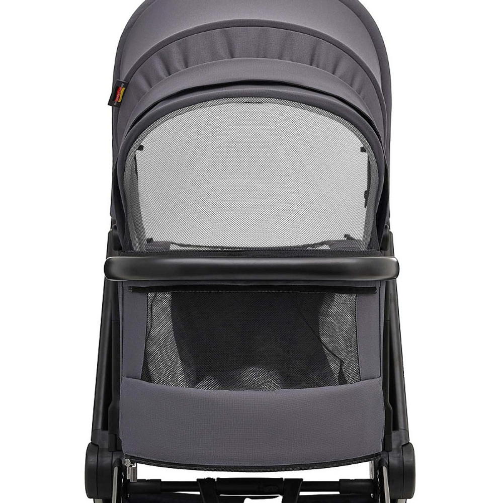 Коляска 2 в 1 Labala Raiz Edition Line 2025 Anthrazit