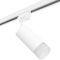 Комплект с трековым светильником Lightstar Rullo (214436+592056+202431) R1T43631