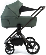 Детская коляска Peppy Monaco Thermo 3 в 1 с автокреслом Rise Milk Green