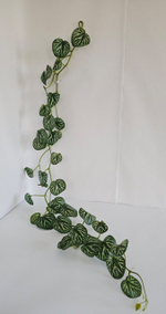 Лиана каменноломка / Арт 4091