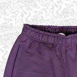 Брюки PPZ Фиолетовые