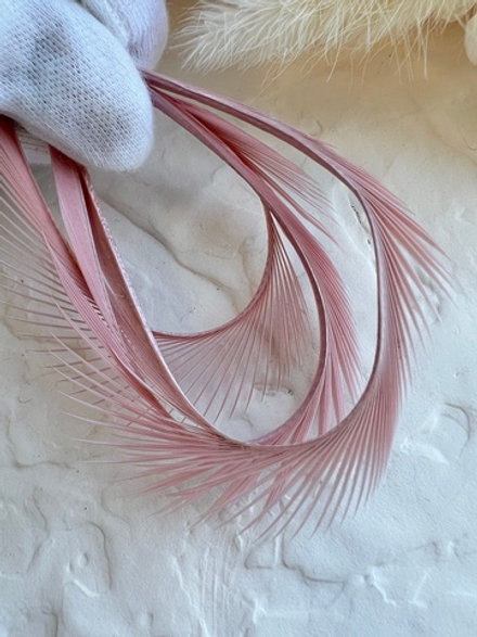 Гусиное перо, Бежевый (5 шт)