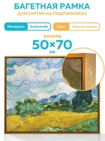 Металлическая багетная рама 70х50 см