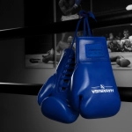 Боксёрские перчатки Hayabusa PRO HORSEHAIR - Blue