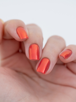 Скандальный Оранжевый