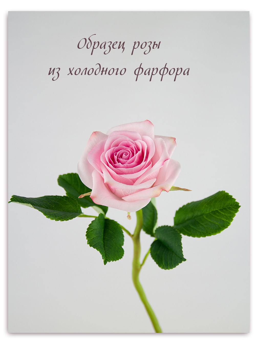 Лепесток розы Фрутетто. Набор 1