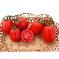 Томат Яки F1 (50шт) Витагрин Профи