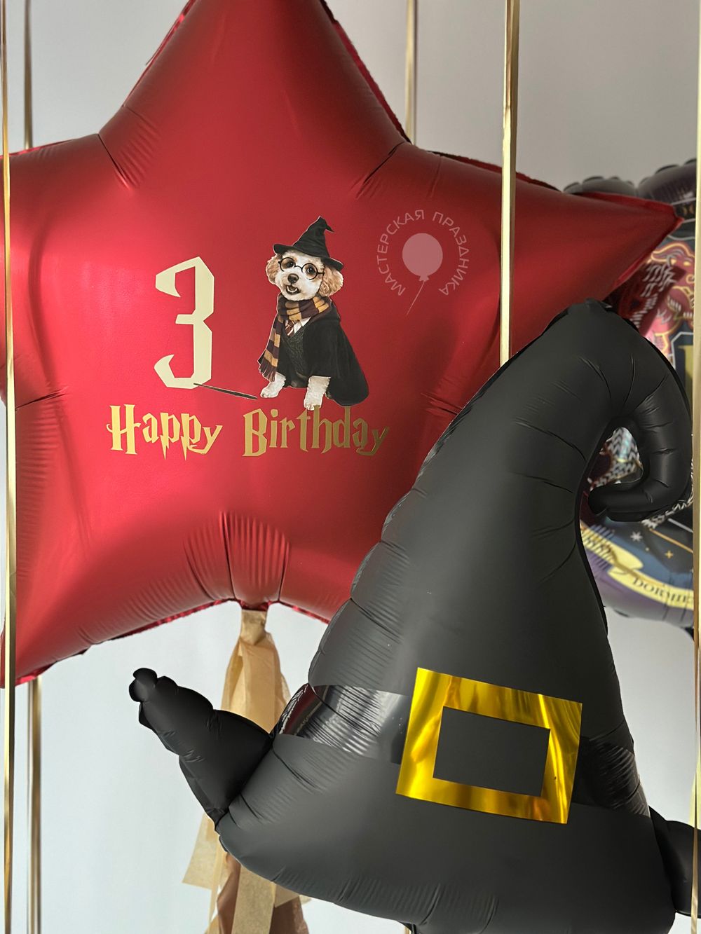 Воздушные шары №8823  Изображение5