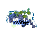 B3 - Ice Berry (250g)