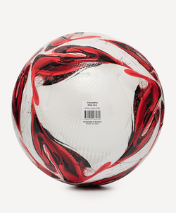 Мяч футбольный Triumph Pro №5