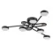 Потолочная люстра Arte Lamp TAYGETA A2455PL-6BK