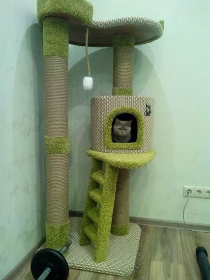 Дом для кота Н-7