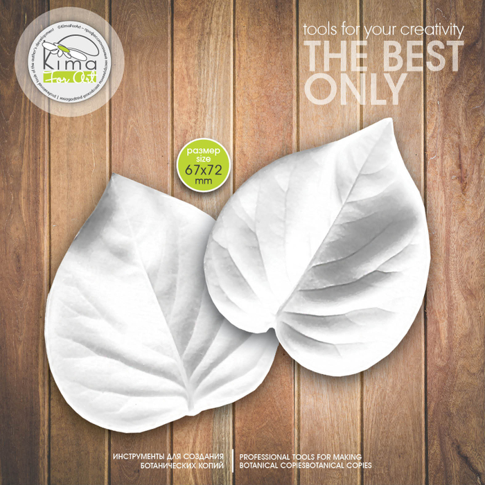 Сирень лист средний круглый