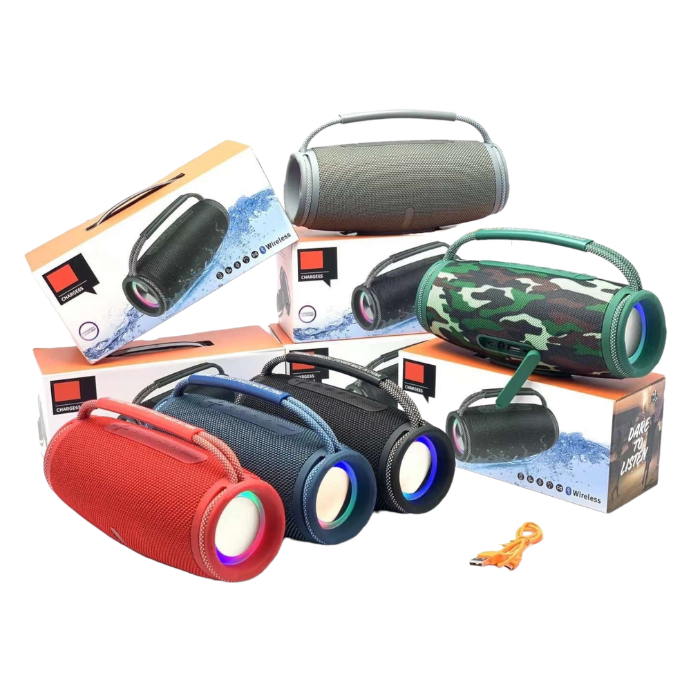 Беспроводная колонка Charge E6S