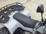 Lion 125 RR серый